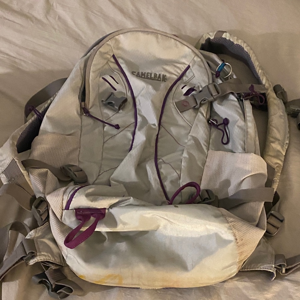 CamelBak Beige and Purple Hydration Pack